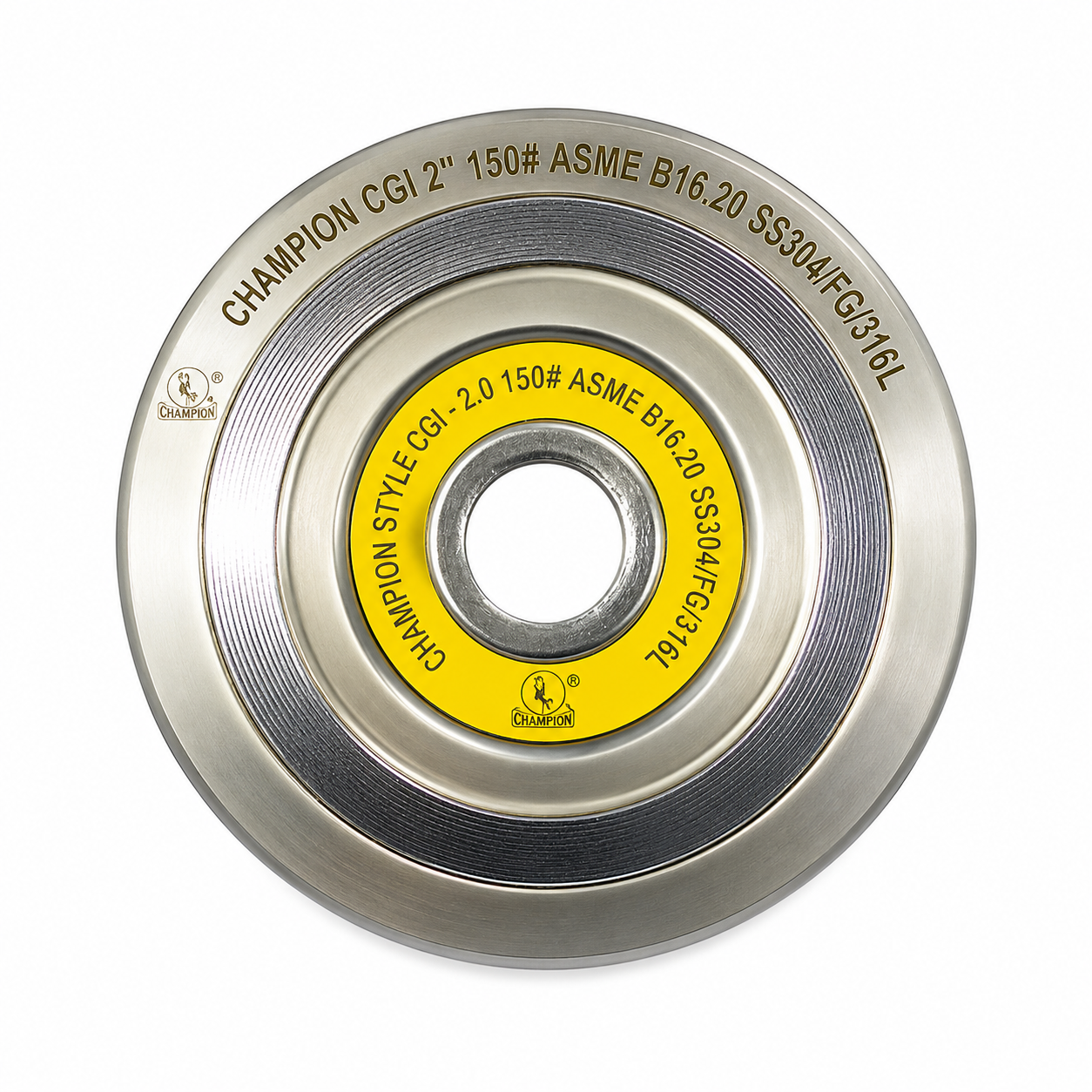 Type G Spiral Wound Gasket